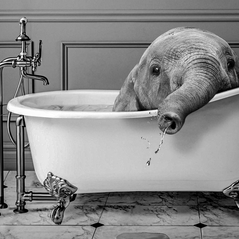 Siyah ve beyaz hayvanlar banyo - Photography Duck incelemesi ve fiyatı