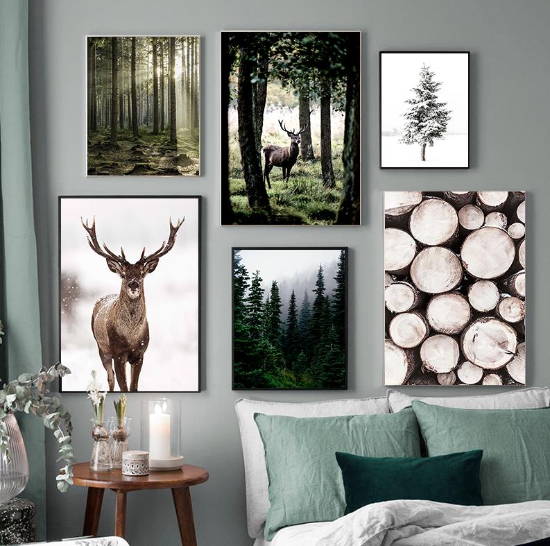 Kış kar orman geyik baykuş gün - Photography Nature incelemesi ve fiyatı